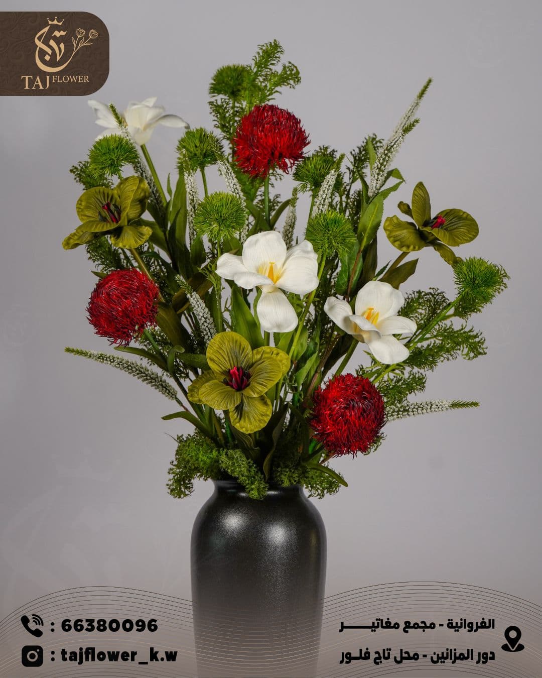 6 Tulips - 3 Burgundy Turkey - 1 Sparkus - 1 Punch Franca - 1 Green Lily Oud