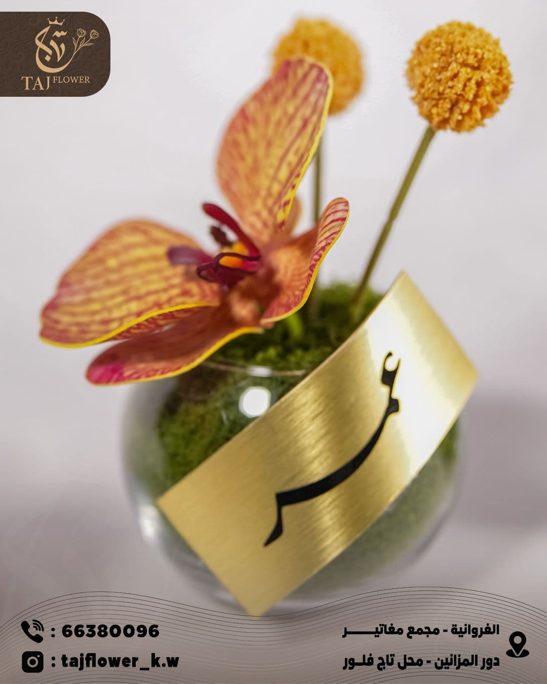 1 Curspedia - 1 Orchid - Vase - Mineral Name